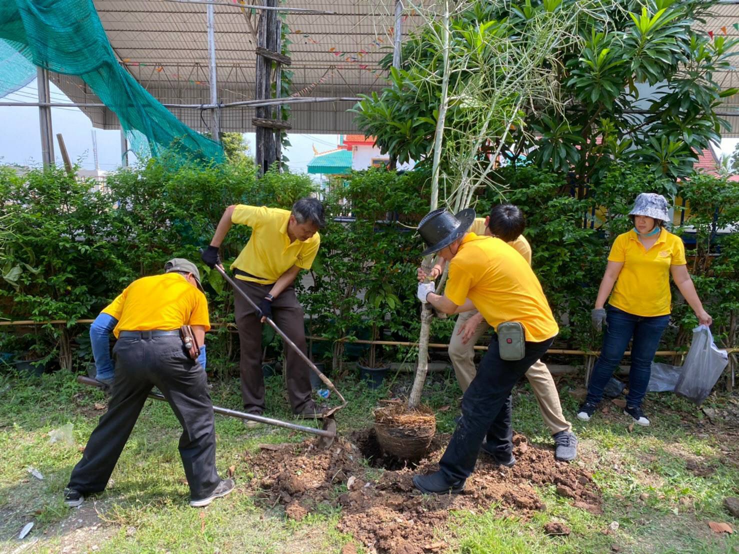 ﻿สำนักงานบังคับคดีจังหวัดปทุมธานี สาขาธัญบุรี จัดกิจกรรมปลูกต้นไม้ประจำปีของชาติ